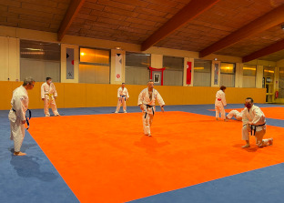 La pratique du judo adapté