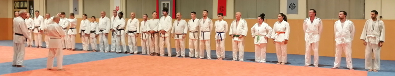 Judoka du club de Cran Gevrier au salut lors d'un cours en oct 2023